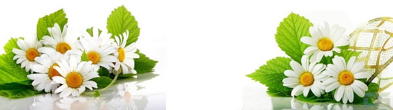 3dSKINALI_4001_694.jpg
