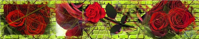 3dSKINALI_4001_702.jpg