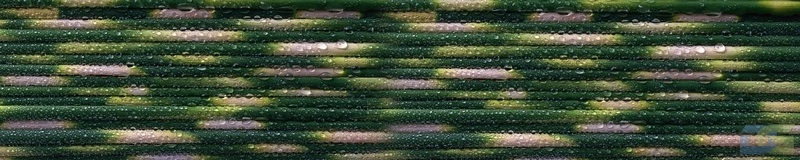 3dSKINALI_4001_707.jpg