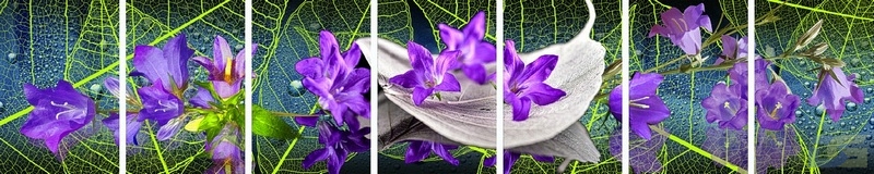3dSKINALI_4001_710.jpg