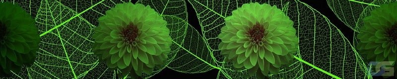 3dSKINALI_4001_711.jpg