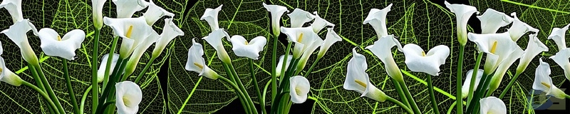 3dSKINALI_4001_714.jpg