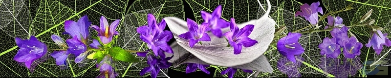 3dSKINALI_4001_719.jpg