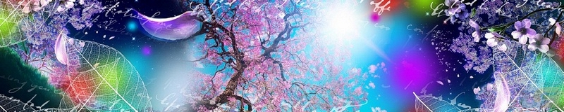 3dSKINALI__111.jpg