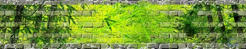 3dSKINALI__1385.jpg