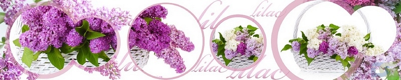 3dSKINALI__1409.jpg