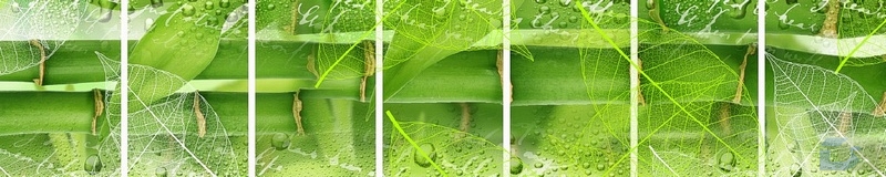 3dSKINALI__2190.jpg