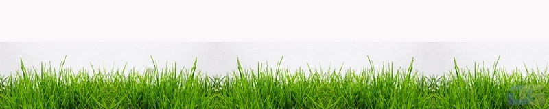 3dSKINALI__63.jpg