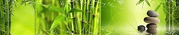 3dSKINALI_4001_608.jpg