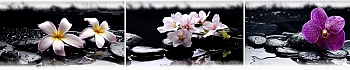 3dSKINALI_4001_609.jpg