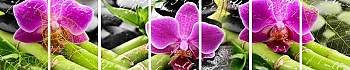 3dSKINALI_4001_612.jpg