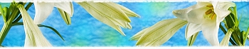 3dSKINALI_4001_618.jpg