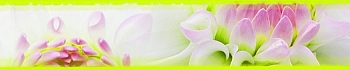 3dSKINALI_4001_620.jpg