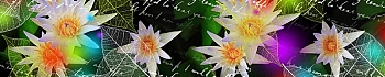 3dSKINALI_4001_622.jpg