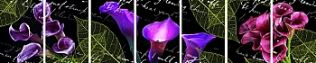 3dSKINALI_4001_624.jpg