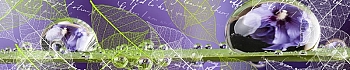 3dSKINALI_4001_625.jpg