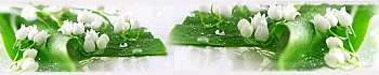3dSKINALI_4001_629.jpg