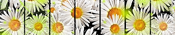 3dSKINALI_4001_630.jpg