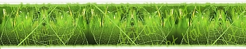 3dSKINALI_4001_631.jpg
