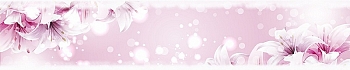 3dSKINALI_4001_636.jpg