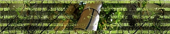 3dSKINALI_4001_637.jpg