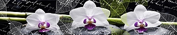 3dSKINALI_4001_642.jpg