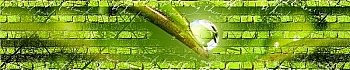 3dSKINALI_4001_645.jpg