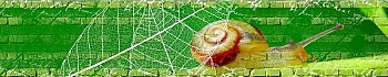 3dSKINALI_4001_646.jpg