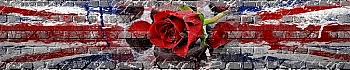 3dSKINALI_4001_648.jpg