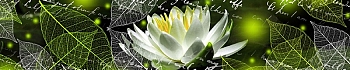 3dSKINALI_4001_650.jpg