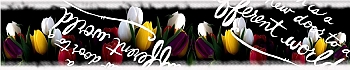 3dSKINALI_4001_652.jpg