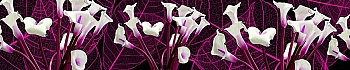 3dSKINALI_4001_654.jpg
