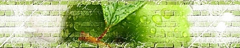 3dSKINALI_4001_656.jpg