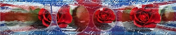 3dSKINALI_4001_659.jpg