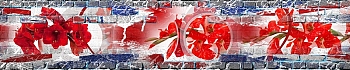3dSKINALI_4001_663.jpg