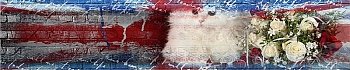 3dSKINALI_4001_666.jpg