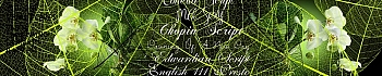 3dSKINALI_4001_668.jpg