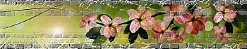 3dSKINALI_4001_672.jpg