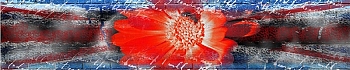 3dSKINALI_4001_673.jpg