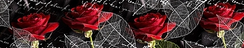 3dSKINALI_4001_675.jpg