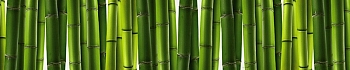 3dSKINALI_4001_679.jpg