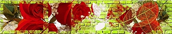 3dSKINALI_4001_680.jpg