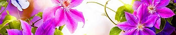 3dSKINALI_4001_682.jpg