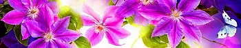 3dSKINALI_4001_684.jpg