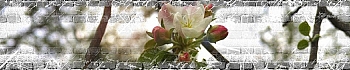 3dSKINALI_4001_686.jpg
