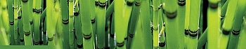3dSKINALI_4001_693.jpg
