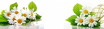 3dSKINALI_4001_694.jpg