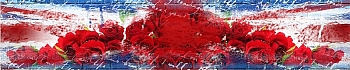 3dSKINALI_4001_699.jpg