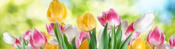 3dSKINALI_4001_701.jpg