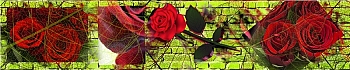 3dSKINALI_4001_702.jpg